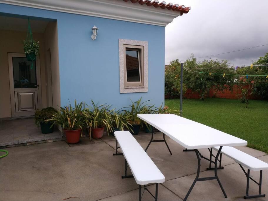Maison Proche De La Mer Murtosa Kültér fotó